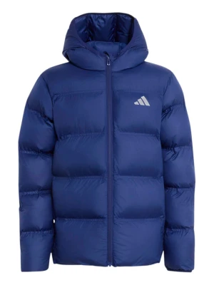 Foto del prodotto adidas Giubbotto invernale Synthetic Down KQ6187 Blu Regular Fit