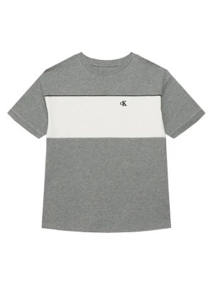 Foto del prodotto Calvin Klein Jeans T-shirt LVCKTJA41B Grigio Regular Fit
