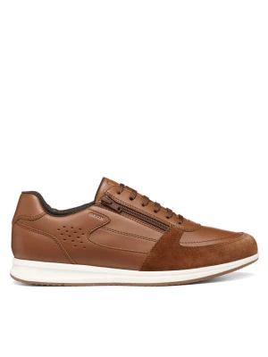Foto del prodotto Geox Sneakers U Avery U65H5A 0BC22 C6001 Marrone