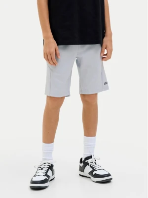 Foto del prodotto Jack & Jones Junior Pantaloncini sportivi Gordon Fusion 12274667 Grigio Slim Fit