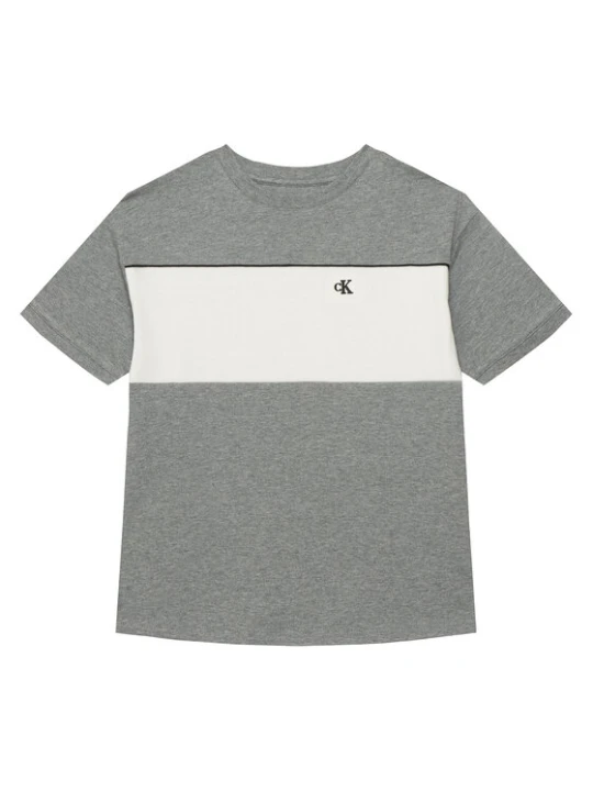 Foto del prodotto Calvin Klein Jeans T-shirt LVCKTJA41B Grigio Regular Fit