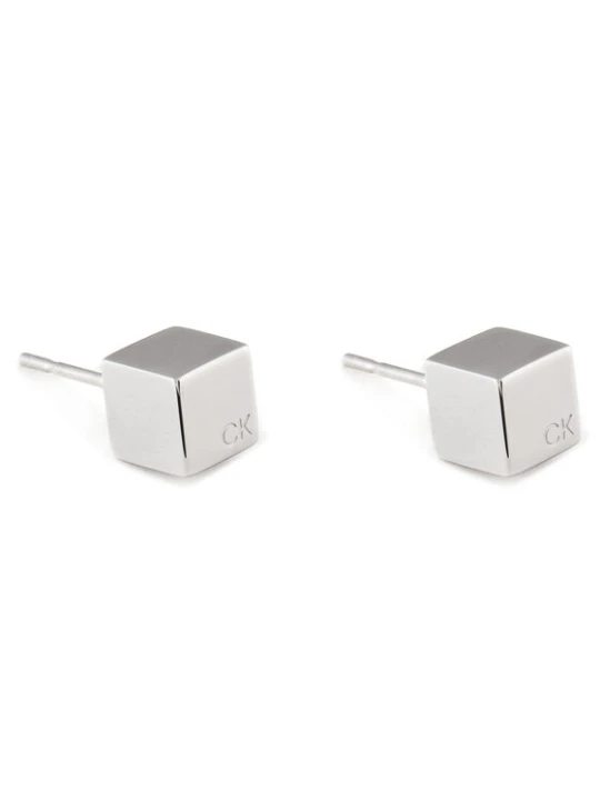 Foto del prodotto Calvin Klein Orecchini 35000245 Argento