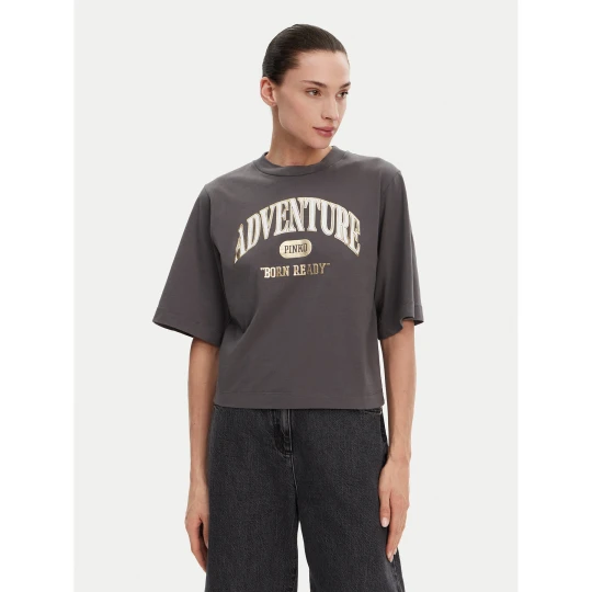 Foto del prodotto PINKO T-shirt Niamey 104604 A2CS Grigio Regular Fit