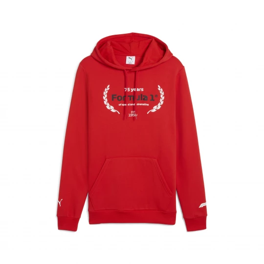 Foto del prodotto PUMA Felpa con cappuccio e logo F1® Essentials da uomo, Accessori, Rosso czerwony
