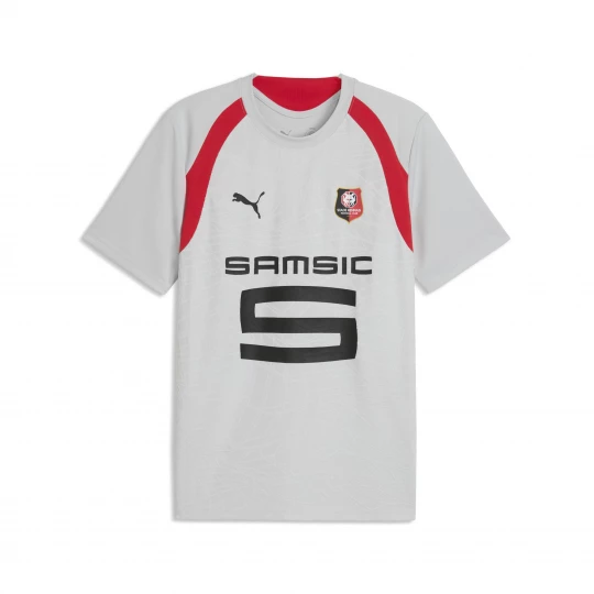 Foto del prodotto PUMA Maglia da training Stade Rennais da uomo, Accessori, Grigio Gray
