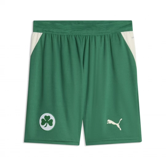 Foto del prodotto PUMA Shorts Greuther Fürth 26 / 27 da uomo, Accessori, Verde zielony
