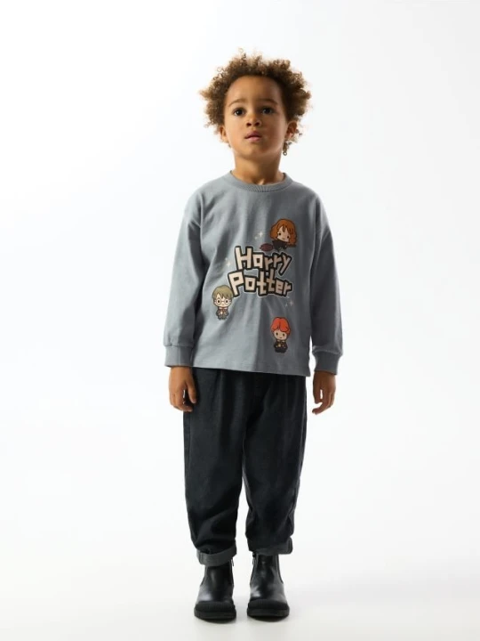 Foto del prodotto Reserved - Maglia a maniche lunghe Harry Potter - grigio scuro