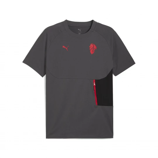 Foto del prodotto T-shirt con taschino AC Milan PUMATECH da uomo, Accessori, Grigio Gray