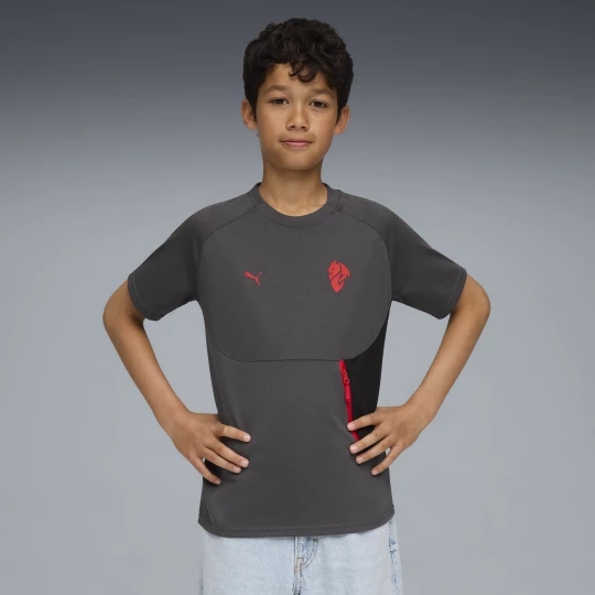 Foto del prodotto T-shirt con taschino AC Milan PUMATECH per ragazzi, Abbigliamento, Grigio Gray