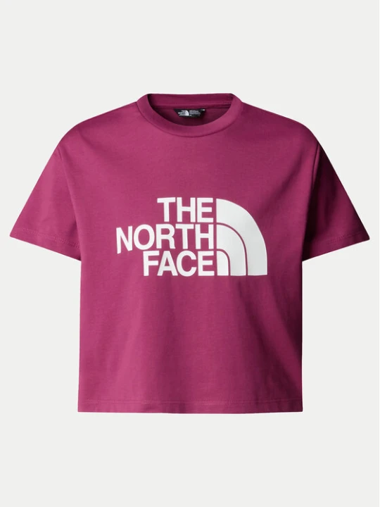 Foto del prodotto The North Face T-shirt Easy NF0A8DRQ Rosa Relaxed Fit