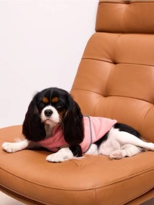 Foto del prodotto Mohito - Giacca per cani - rosa pastello