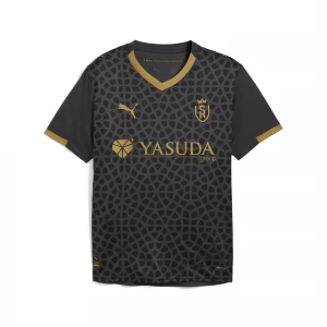 Foto del prodotto PUMA Maglia gara Third Stade de Reims 25 / 26 da uomo, Accessori, Grigio Gray