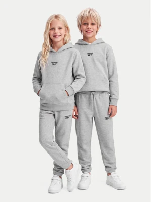 Foto del prodotto Reebok Completo tuta RK95228CCB Grigio Regular Fit