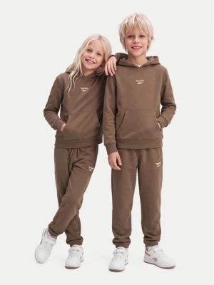 Foto del prodotto Reebok Completo tuta RK95228CCB Marrone Regular Fit