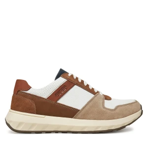 Foto del prodotto Sneakers Josef Seibel Cameron 10 33610 Marrone
