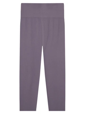 Foto del prodotto Sprandi Leggings W126-SIGLG-1039-36X Viola Slim Fit