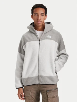 Foto del prodotto The North Face Felpa di pile Nse NF0A8J6Q Beige chiaro Regular Fit