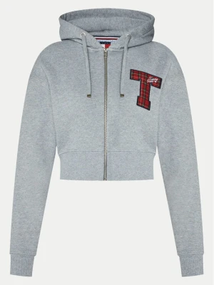 Foto del prodotto Tommy Jeans Felpa DW0DW20535 Grigio Regular Fit